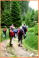 Wanderer im Harz