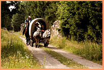 Kremserfahrt im Harz